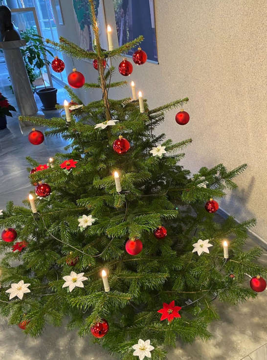 Schönstatt-Frauenbund Christbaum Weihnachten