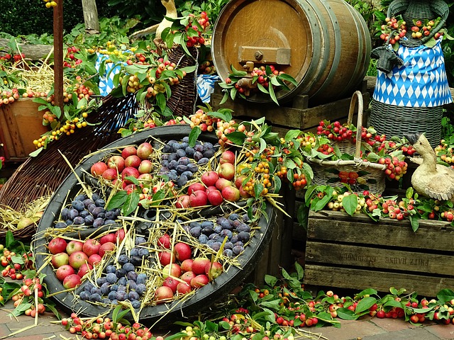 Erntedank_Fruechte_tragen